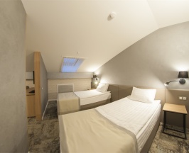 Double Twin Mansard в Scandinavia