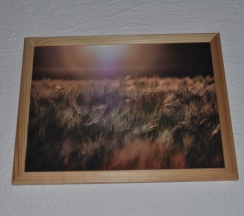 Трёхместный номер Standard в Чайка