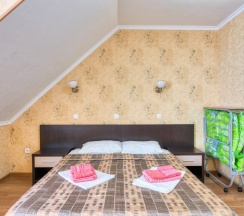 Двухместный номер Standard с балконом 2 отдельные кровати в Аист