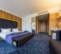 Двухместный номер Superior двуспальная кровать в Отель Palanga Life Balance SPA