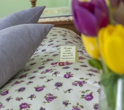 Номер "Комфорт" в Снегурочка