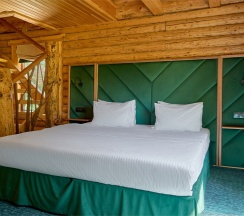 Вилла Джуниор Сюит в Маральник Altai Palace