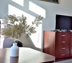 №1. Семейный номер с двуспальной кроватью, диваном и видом на Байкал в Прибой