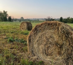 Шатер с террасой малый в Соты&Варенье