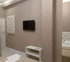 Номер полулюкс в Надежда