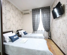 Двухместный номер Standard Superior 2 отдельные кровати в Olo