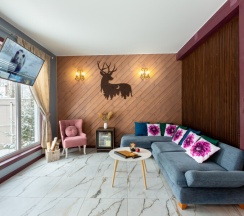 Коттедж《Тиффани делюкс》с сауной и "Банным чаном" (расположен в  Логиново) в Сканди хаус