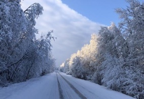 Коттедж Лесной скит в Тверской области