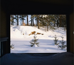 Охотничий домик №5 в Glamptown