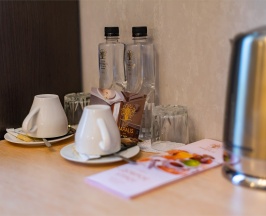 Comfort Twin Доступная среда в Hotel Villa MARALIS