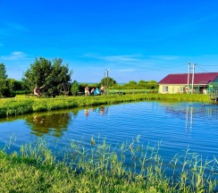 Коттедж стандарт в Петровский берег