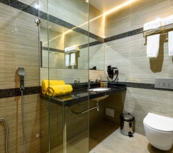 КОМФОРТ ПЛЮС в Grand Spa Hotel Avax