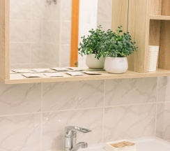 "ЛЮКС" Семейный, 2х-комн. (№10) в Новый континент