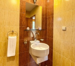 Номер Standard в Отель Елеганза