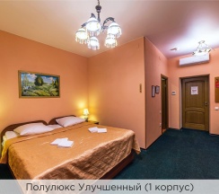 Полулюкс улучшенный (1 и 2 корпус) в К-визит