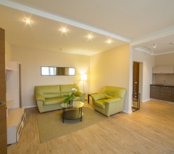 Апартаменты с видом на Неву (Апартамент) в Москва