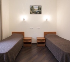 Стандартный номер с 2 односпальными кроватями в Фроотель