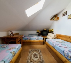 Эконом трехместный в Родина