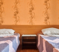 Двухместный номер Standard с балконом и с красивым видом из окна 2 отдельные кровати в Ореховый