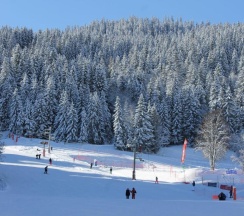 Апартаменты в Résidence Grand Bois A1118 Clés Blanches