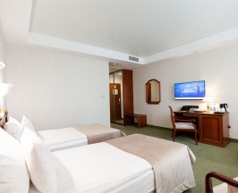 DELUXE TWIN в Видгоф