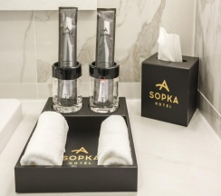 Номер люкс бизнес в Sopka