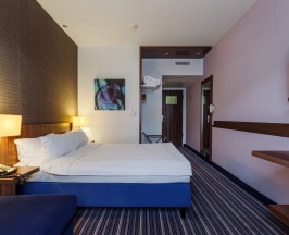 Номер Стандарт с кроватью "Queen Size" и диваном в Cosmos Smart Voronezh Hotel