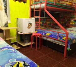 Номер 4-х местный Эконом в Мур ля мур