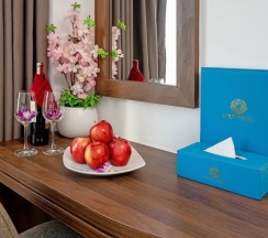 Трёхместный номер Deluxe с балконом и с видом на город в Gold Plaza Hotel Da Nang