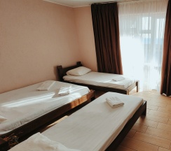 2х комнатные 7ми местные апартаменты с мини-кухней и террасой в Благовещенка