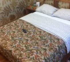 Номер стандарт эконом с 1 двуспальной кроватью в Русский лес