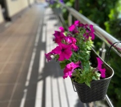 Стандартный номер с отдельным входом с двуспальной кроватью и диваном в Интер Хотел