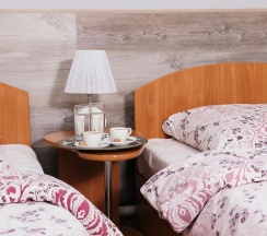 Номер стандарт с 2 односпальными кроватями в Президент