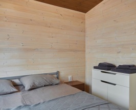 Барнхаус в Задубравье