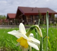 СТУДИЯ (КОТТЕДЖ) в 69 параллель