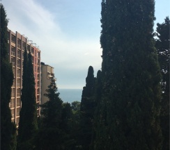 Стандартные апартаменты с 1 спальней в Joy apartments