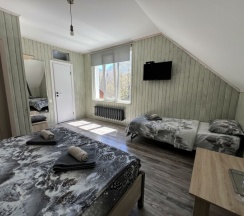 Двухместный стандарт с дополнительным местом в Пихтовый бор