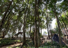 Тент в O Little Tent de Koh Chang