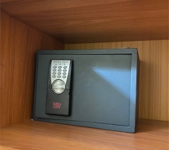 Классический в Дельфин
