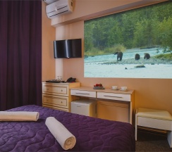 Стандартный двухместный с проекционным кинотеатром в Ring Road Hotel