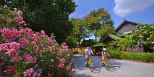 Сукотай: Курортный отель Thai Thai Sukhothai Resort