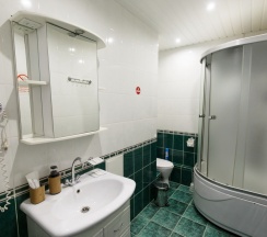 Стандарт 302 в Никольский