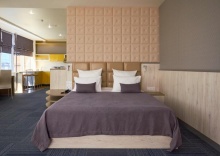 Номер люкс панорамный с 1 двуспальной кроватью в Форум