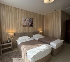 2-местный номер стандарт в Central Hotel