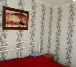 2-местный номер стандарт комфорт с 1 двуспальной кроватью в Космос