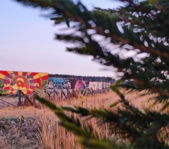 Космо в Дикая Мята