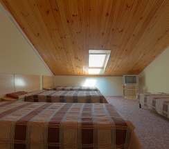 Номер Economy в Golden Lady