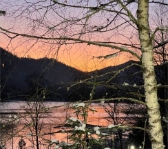 Стандарт в Телецкое Золотое