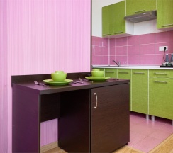 Семейный  ПЛЮС без балкона в Диса