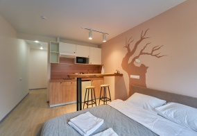 Апартаменты Апартаменты на Ленина 54/2 в Екатеринбурге